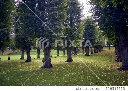 Copenhagen's Frederiksberg Park in early autumn 119512333