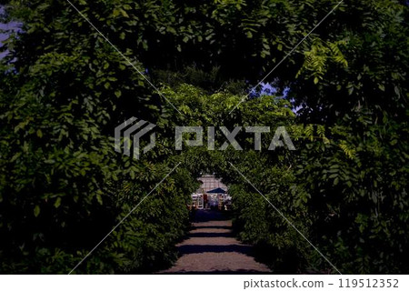 Frederiksberg Park botanical garden, Copenhagen 119512352