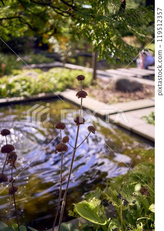Frederiksberg Park botanical garden, Copenhagen 119512357