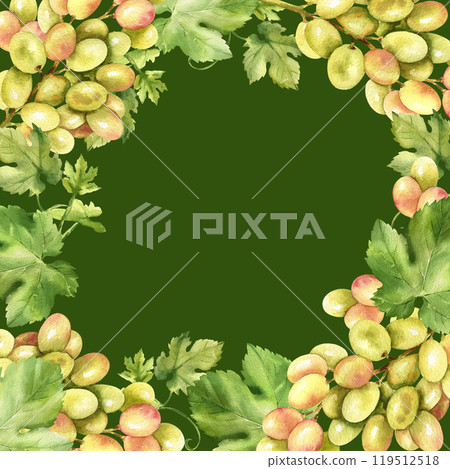 Watercolor green frame with grape brunches and green leaves, fresh white and pink berries, illustration of ripe grapevine, border for card, food and drink theme on dark background Watercolor green frame with grape brunches and green leaves, fresh white and pink berries, illustration of ripe grapevine, border for card, food and drink theme on dark background 119512518