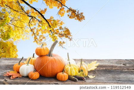 pumpkin on table 119512549