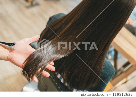 A beautiful long-haired female customer at a beauty salon 119512622