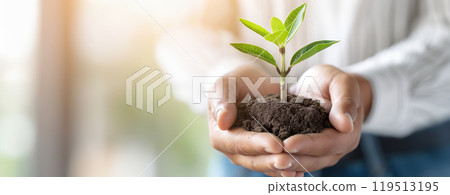 A person gently cradles a small plant, symbolizing hope and growth, highlighting the beauty of nurturing nature in a bright environment. 119513195