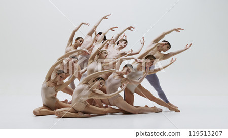 Artistic ballet ensemble in perfect formation. Group of talented and artistic ballet dancer performing with grace and elegance 119513207