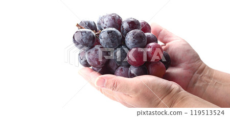 Pione grapes held in hand (white background) Pione grapes held in hand (white background) 119513524