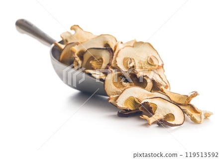 Dried porcini mushrooms. Sliced boletus in scoop  isolated on white background. 119513592