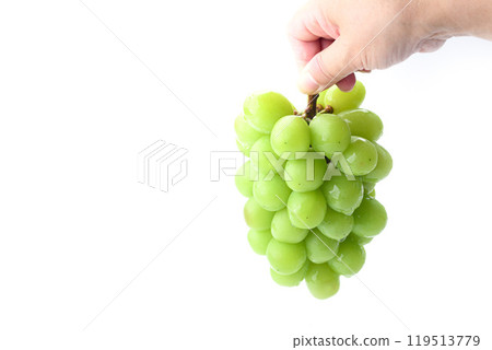 Shine Muscat grapes held in hand 119513779