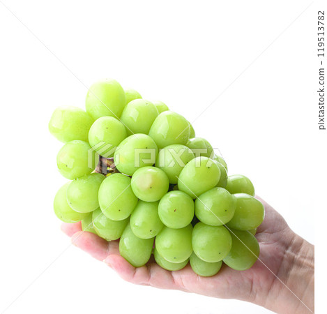 Shine Muscat grapes held in hand 119513782