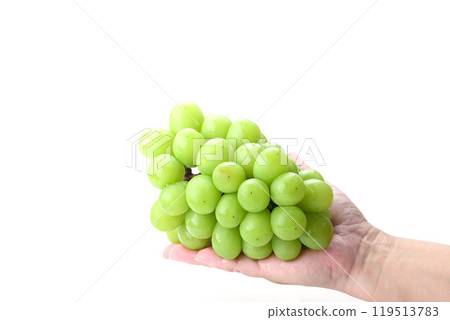 Shine Muscat grapes held in hand 119513783