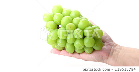 Shine Muscat grapes held in hand 119513784