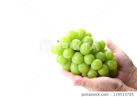 Shine Muscat grapes held in hand 119513785
