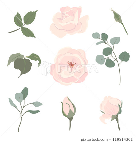 Light pink roses and eucalyptus branches set. Beautiful flowers of different shapes, buds and blossoms isolated on background. Vector floral illustrations in cardboard flat style. 119514301