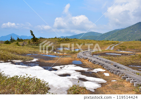 Spring Tateyama Midagahara 119514424