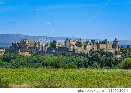 Spectacular Ancient Fortress Of Medieval City Carcassonne And Vineyards In Occitania, Aude, France 119515034