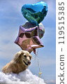 Dax and balloon 119515385