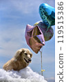 Dax and balloon 119515386