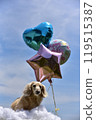 Dax and balloon 119515387