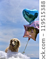 Dax and balloon 119515388