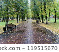 Peaceful autumn park scene with fallen leaves on a brick path, surrounded by tall trees and empty benches. 119515670