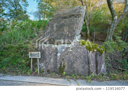 Seat Rock 119516077