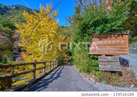 Autumn leaves near the hotel entrance in Shosenkyo, Kofu, Yamanashi Prefecture 119516189
