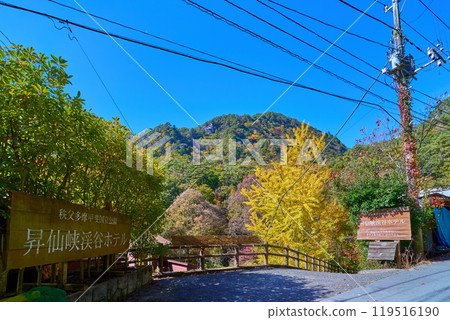 Autumn leaves near the hotel entrance in Shosenkyo, Kofu, Yamanashi Prefecture Autumn leaves near the hotel entrance in Shosenkyo, Kofu, Yamanashi Prefecture 119516190