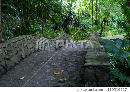The walkway built from the stone and cement located in the tropical forest The walkway built from the stone and cement located in the tropical forest 119516217