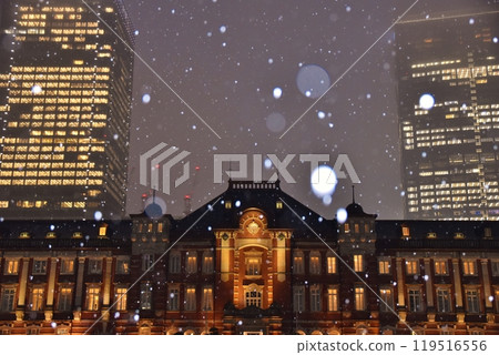 Snowy Tokyo Station 119516556
