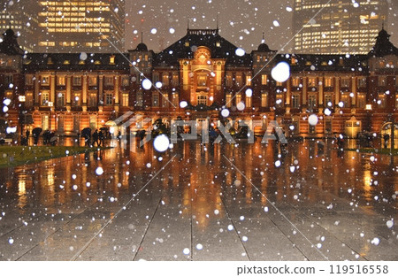 雪域東京車站 119516558