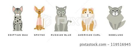 Different Cat Breed as Domestic Pet in Sitting Pose with Name Vector Set Different Cat Breed as Domestic Pet in Sitting Pose with Name Vector Set 119516945