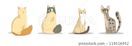 Different Cat Breed as Domestic Pet in Sitting Pose Vector Set 119516952