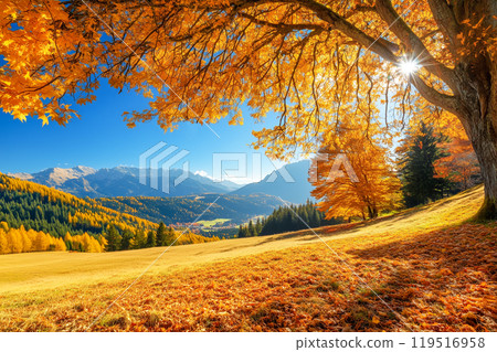 Autumn landscape in mountain at sunny day 119516958