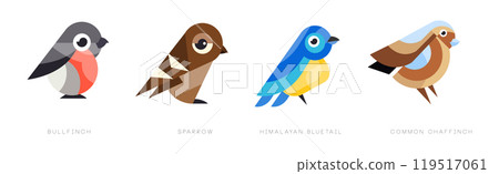 Different Bird Flat Icon with Name Vector Set 119517061