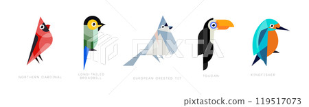 Different Bird Flat Icon with Name Vector Set 119517073