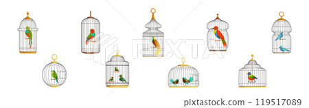 Colorful Bird Perching in Cage with Metal Wire Vector Set 119517089