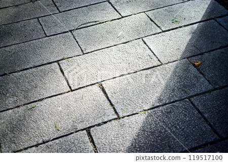 tile architecture floor texture 圖片 tile architecture floor texture 圖片 119517100