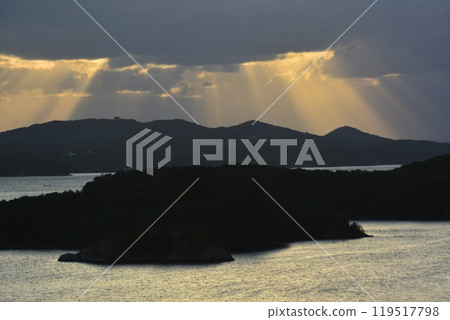 Tomoyama Park Shine 119517798