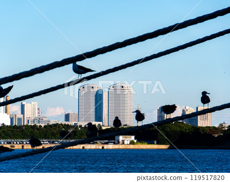 Morning view of Makuhari New City with seagulls perched on a mooring rope Morning view of Makuhari New City with seagulls perched on a mooring rope 119517820