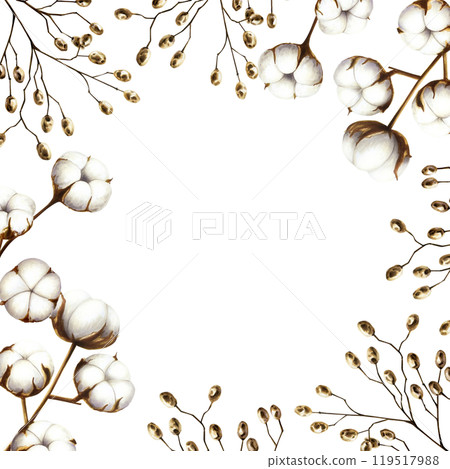 Frame with cotton flower branches and dried berries. Watercolor hand drawn white fluffy clipart isolated on transparent background. Christmas, winter and wedding illustration. For designers 119517988