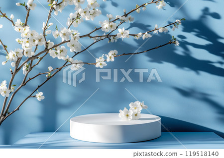 Delicate white cherry blossoms branch against a serene blue wall with circular display stand during 119518140
