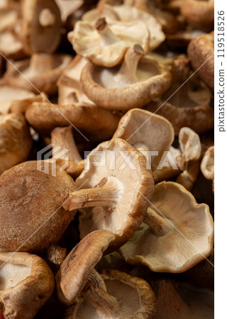 Fresh mushrooms scattered on the counter Fresh mushrooms scattered on the counter 119518526