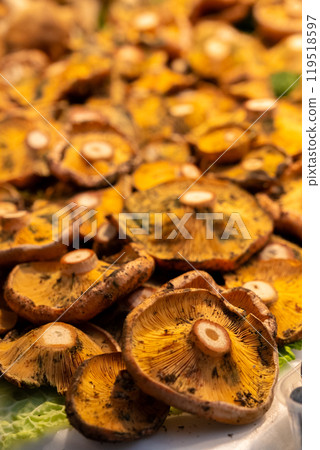 Fresh mushrooms scattered on the counter Fresh mushrooms scattered on the counter 119518597