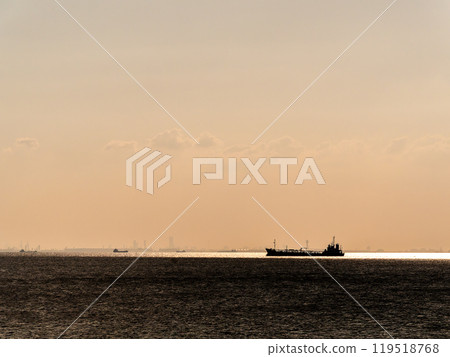 從東京灣眺望橫濱的夜景 119518768