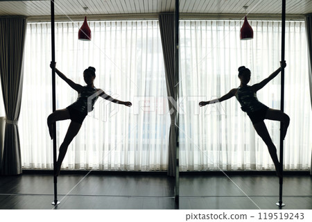 Elegant Pole Dancer Performing Intricate Routine 119519243