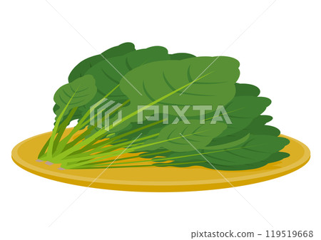 菠菜籃盤插圖 菠菜籃盤插圖 119519668