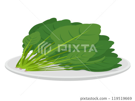 Illustration of a white plate with spinach 119519669