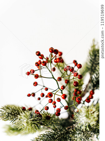 Minimalistic Christmas composition with fir branches and red berries in vase on white background 119519699