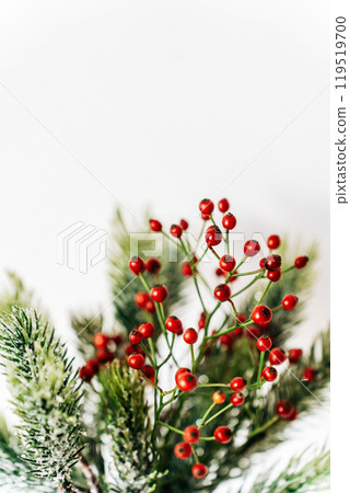 Minimalistic Christmas composition with fir branches and red berries in vase on white background 119519700