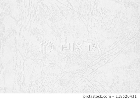Leather-like paper texture white 2 119520431