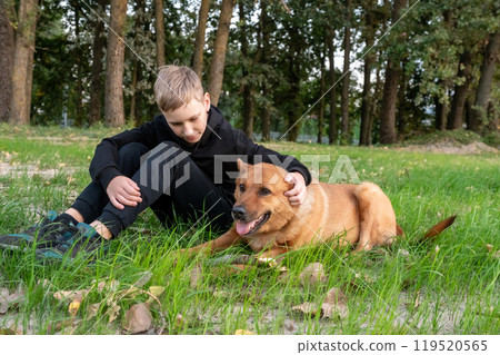Young Boy Playing with Dog in Green Park 119520565
